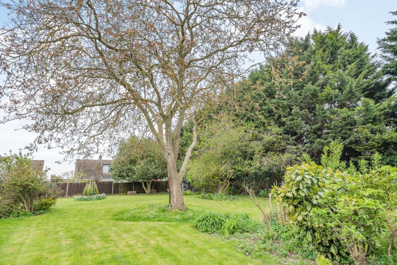 Violet Cottage Feltwell エクステリア 写真